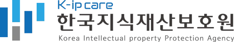 한국지식재산보호원